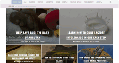 Desktop Screenshot of globalanimalwelfare.org